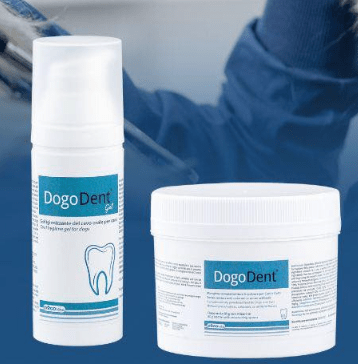 DogoDent por