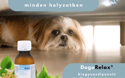 DogoRelax® segíti a relaxációt és támogatja az érzelmi egyensúlyt