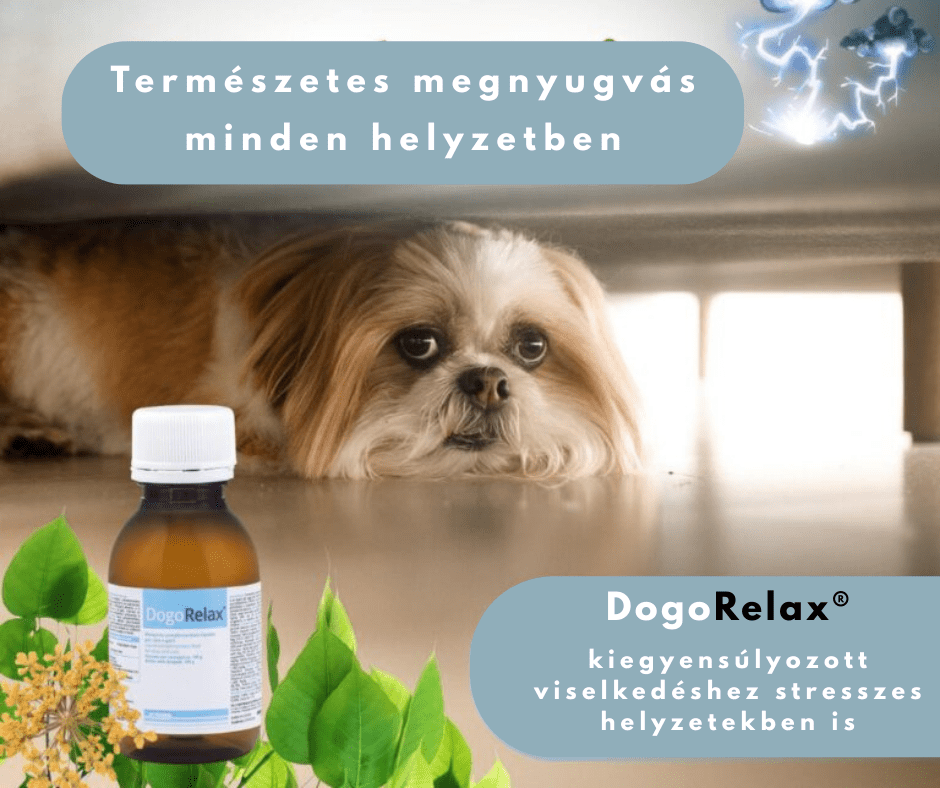 A bekezdés szövege