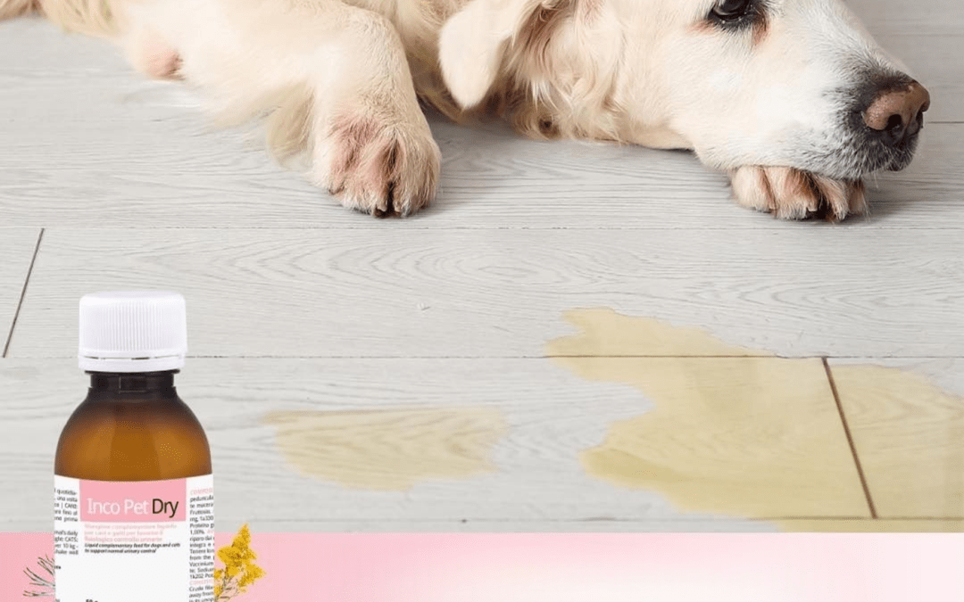 IncoPet Dry® húgyutak fiziológiás működésének támogatására