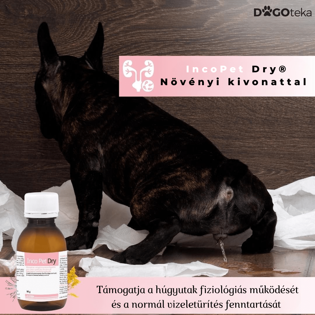 6 év feletti kutyák számára készült speciális tápanyag igényt kielégítő készítmény